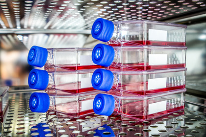 Neuroblastoma: in Italia si sperimenta una cura con le Car-T