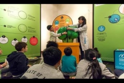 Io vivo Sano - Alimentazione e DNA