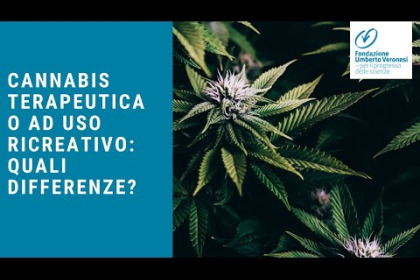 Cannabis terapeutica e a uso ricreativo: quali sono le differenze?