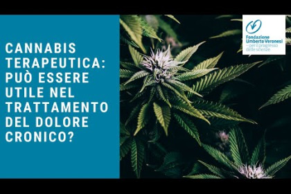 La cannabis è utile nel trattamento del dolore cronico?