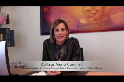 Carne poco cotta: quali rischi si corrono?
