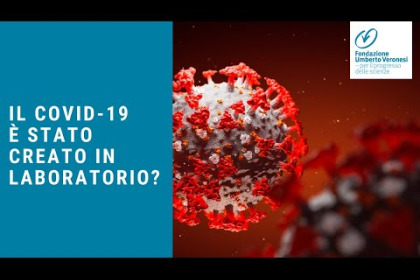 Il coronavirus non è stato creato in laboratorio