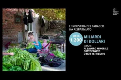 L'altro volto del fumo di sigaretta: sfruttamento del lavoro e dell'ambiente