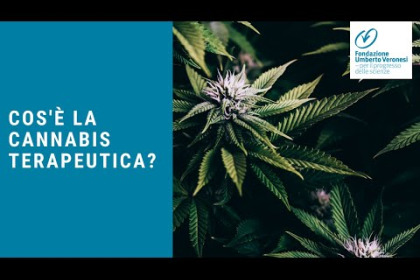 Che cos'è la cannabis terapeutica?